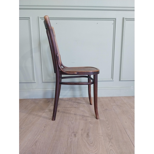 73 - Early 20th C. Bentwood chair. {90 cm H x 45 cm W x 42 cm D}.