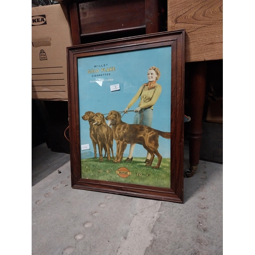 1 - Wills's Gold Flake Cigarettes framed showcard. {60 cm H x 46 cm W}.