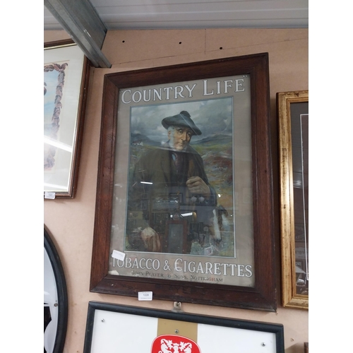 1228 - Framed Country Life Tobacco and Cigarettes showcard. {67 cm H x 49 cm W].