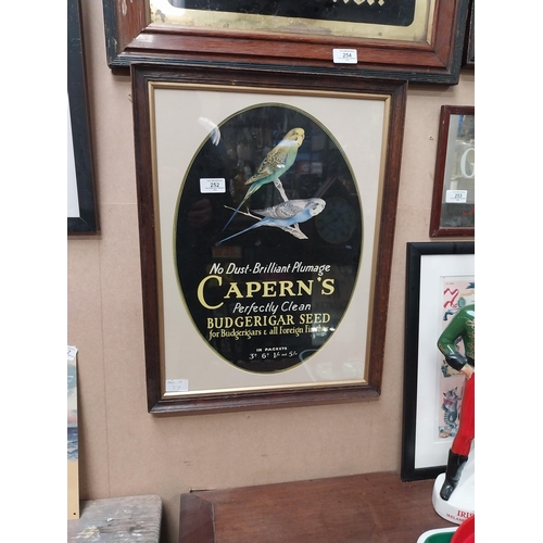 252 - Capern's Budgerigar Seed show card. {55 cm H x 43 cm W}