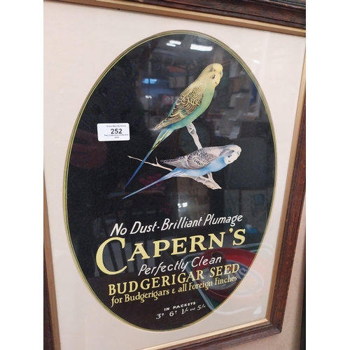 252 - Capern's Budgerigar Seed show card. {55 cm H x 43 cm W}