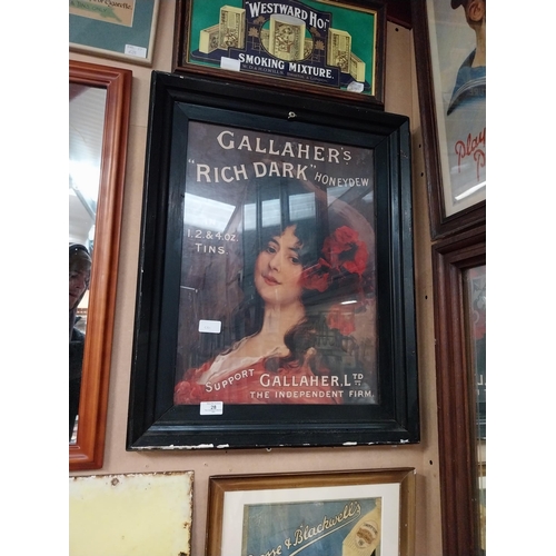 28 - Gallaher�s Rich Dark HoneyDew Tobacco framed advertising print. {59 cm H x 46 cm W}.