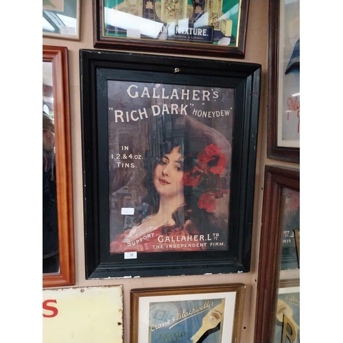 28 - Gallaher�s Rich Dark HoneyDew Tobacco framed advertising print. {59 cm H x 46 cm W}.