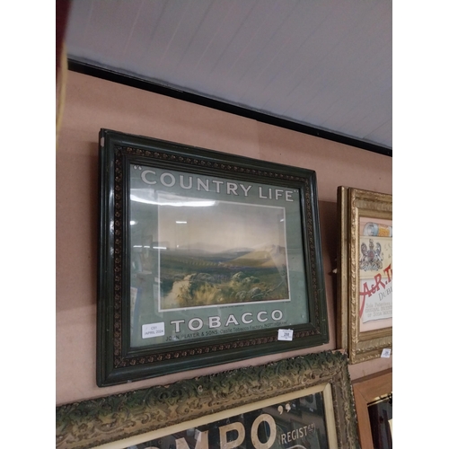 288 - Framed original Country Life showcard. {40 cm H x 37 cm W].