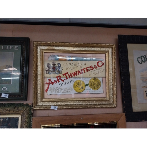 289 - Framed  A and R Thwaites advertising print. {41 cm H x 53 cm D}.