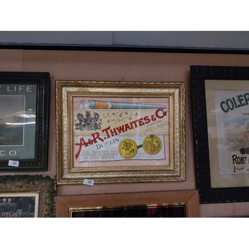 289 - Framed  A and R Thwaites advertising print. {41 cm H x 53 cm D}.