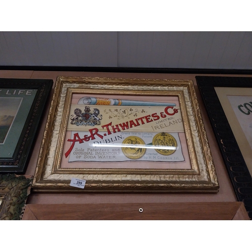 289 - Framed  A and R Thwaites advertising print. {41 cm H x 53 cm D}.