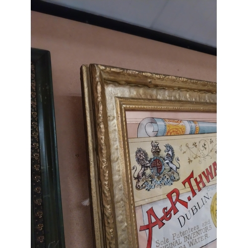 289 - Framed  A and R Thwaites advertising print. {41 cm H x 53 cm D}.