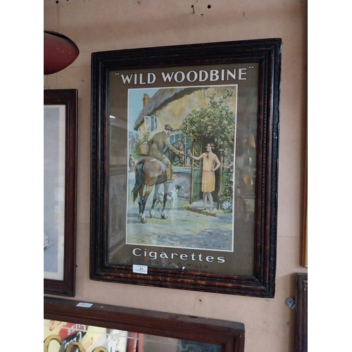 31 - Wild Woodbine cigarettes framed pictorial advertising show card {59 cm H x 47 cm W}.