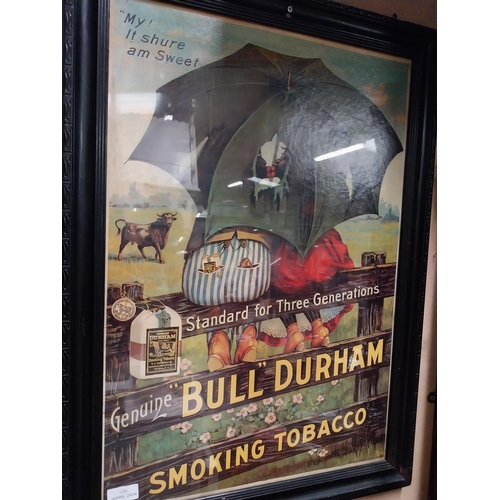 347 - Framed Genuine Bull Durham Smoking Tobacco showcard. {74 cm H x 54 cm W}.