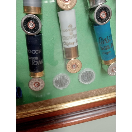 360 - Clay pigeon cartridge display in wood and glazed display case. H 74cm x W 57cm x D 5cm . NOT AVAILAB... 