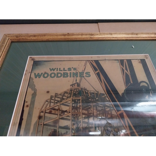 48 - Framed Wills's Woodbines celluloid advertisement. {68 cm H x 54 cm W}.