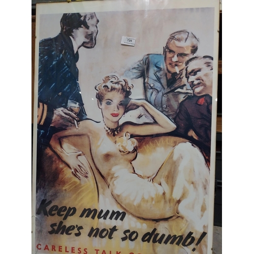 729 - Keep Mum She's Not So Dumb Careless Thoughts Cost Lives framed coloured print. {77 cm H x 51 cm W}.