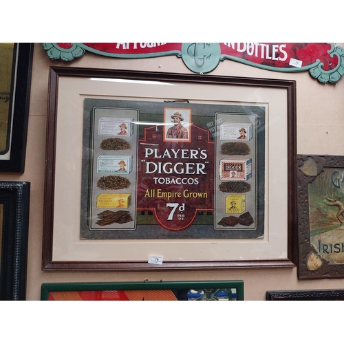 78 - Rare Player's Digger Tobaccos pictorial framed advertising show card {54 cm H x 69 cm W}.