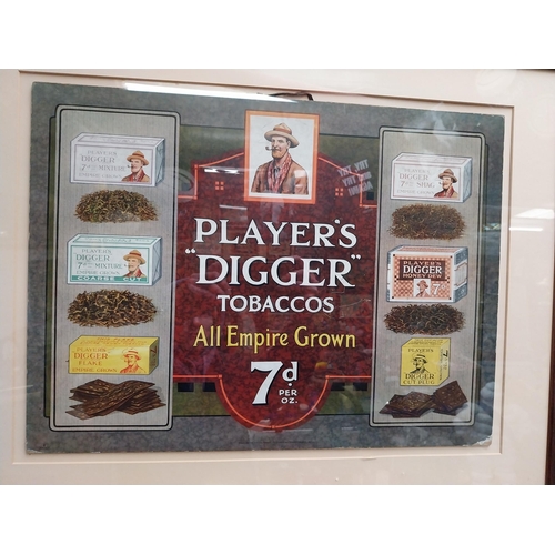 78 - Rare Player's Digger Tobaccos pictorial framed advertising show card {54 cm H x 69 cm W}.