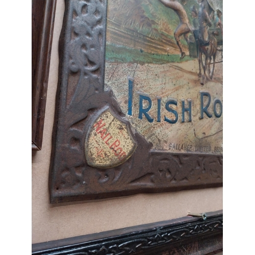 81 - Gallaher's Irish Roll tinplate advertising sign. {37 cm H x 50 cm W}.