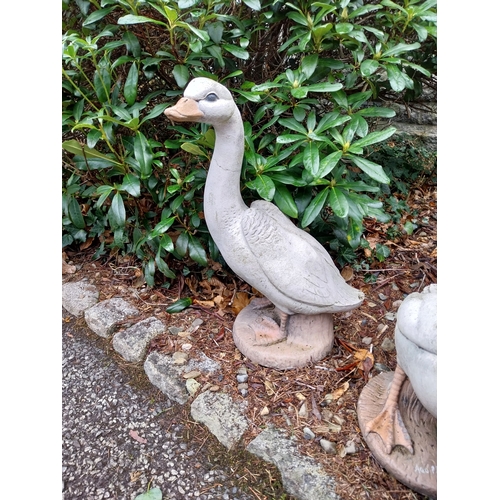 1046 - Pair of  painted composition Geese. {59 cm H x 52 cm W x 20 cm D} and {47 cm H x 60 cm W x 25 cm D}.