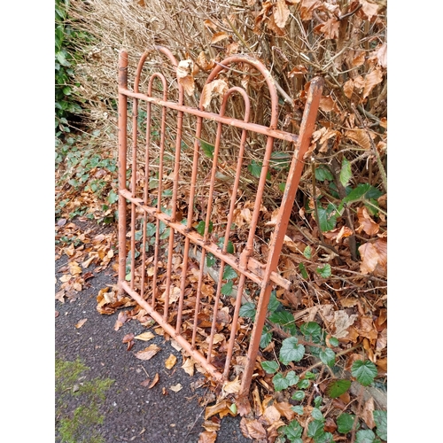 1066 - Early 20th C. Cast iron garden gate. {98 cm H x 70 cm W}.