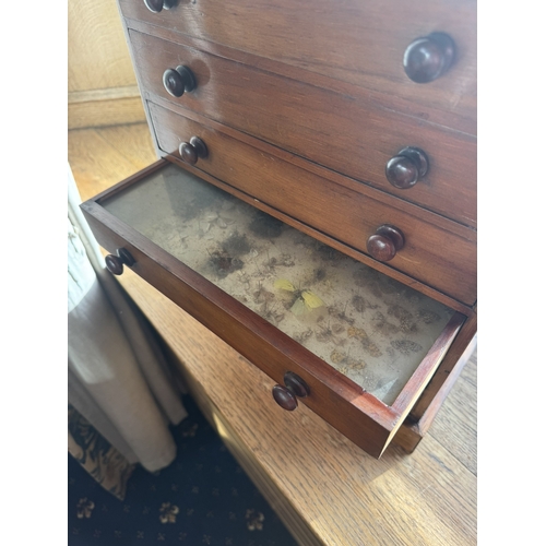 129 - 19th C. Mahogany collectors cabinet. {42 cm H x 28 cm W x 23 cm D}.