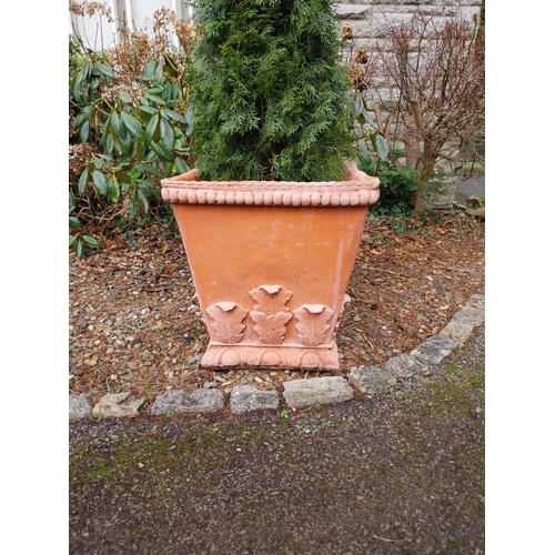 13 - Pair of moulded terracotta urns with acanthus leaf decoration with coniferous tree. {Urn 63 cm H x 5... 