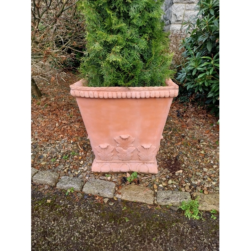 13 - Pair of moulded terracotta urns with acanthus leaf decoration with coniferous tree. {Urn 63 cm H x 5... 