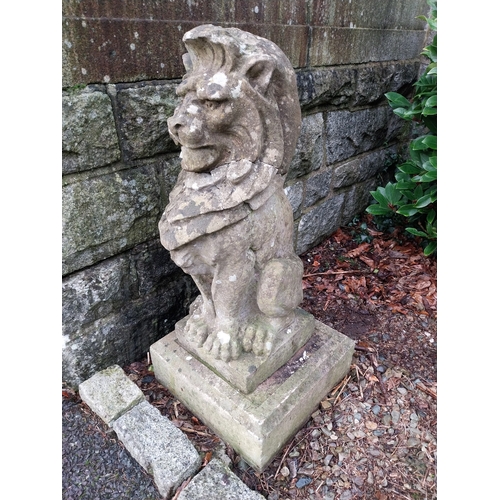 14 - Pair of 19th C. Weathered compositon model of seated lions on square plinth. {90 cm H x 32 cm W x 32... 