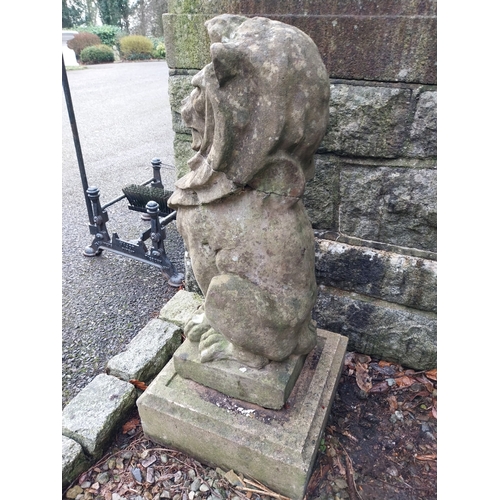 14 - Pair of 19th C. Weathered compositon model of seated lions on square plinth. {90 cm H x 32 cm W x 32... 