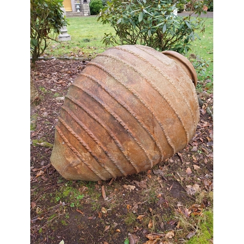 18 - Large early 20th C. Terracotta olive pot. {100 cm H x 120 cm W x 96 cm D}.