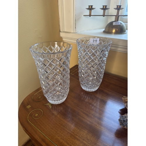 210 - Pair of moulded glass flower vases. {21 cm H x 13 cm Dia.}.