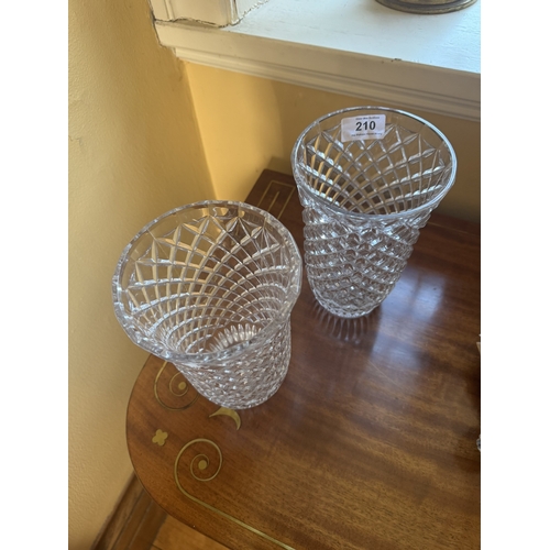 210 - Pair of moulded glass flower vases. {21 cm H x 13 cm Dia.}.