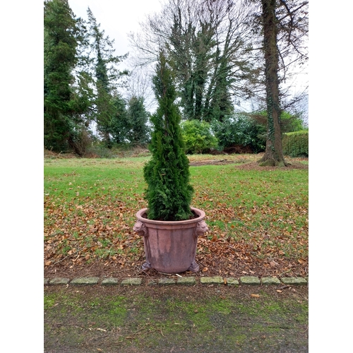 32 - Pair of moulded terracotta urns decorated with lion�s masks on lion�s paw feet with coniferous tree.... 