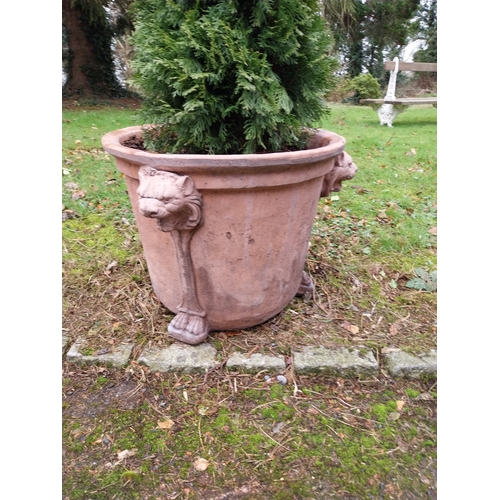 35 - Pair of moulded terracotta urns decorated with lion�s masks on lion�s paw feet with coniferous tree.... 