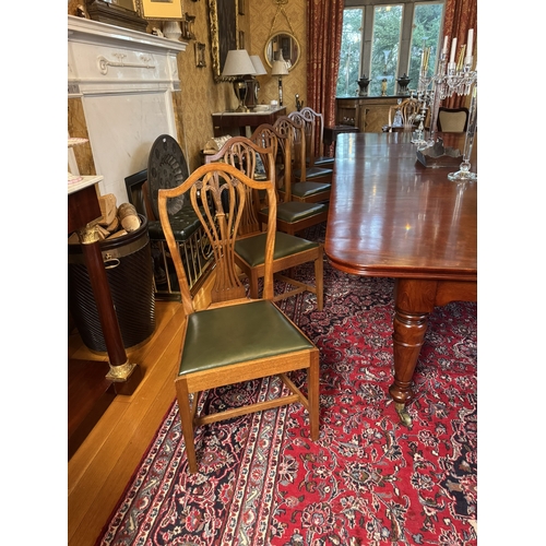 423 - Set of twelve plus two Edwardian mahogany dining room chairs in the Hepplewhite style. {106 cm H x 6... 