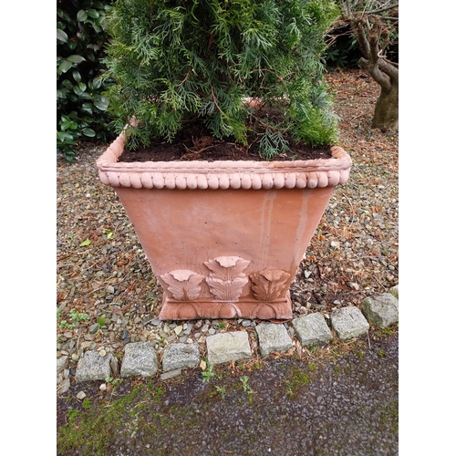 45 - Pair of Moulded terracotta urns with acanthus leaf decoration with coniferous tree. Urn {62 cm H x 5... 