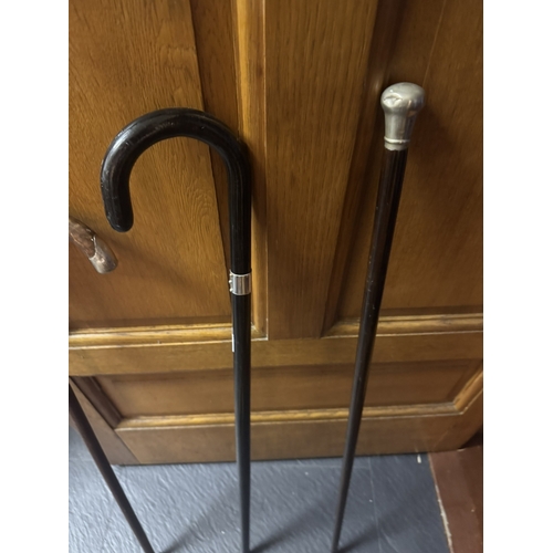 483 - Three early 20th C. Walking sticks with silver plate mounts. {92 cm H to 76 cm H}.