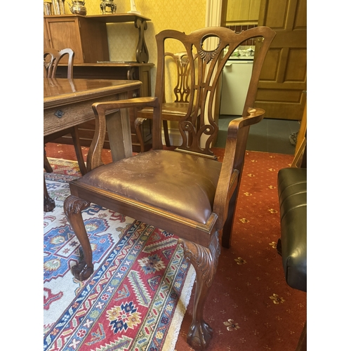 520 - Set of six plus two dining chairs with leather upholstered seats, in the Chippendale style. {90 cm H... 