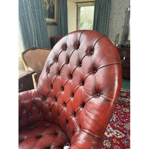 583 - Good quality hand dyed French ox blood leather deep buttoned swivel office chair  with brass stud de... 