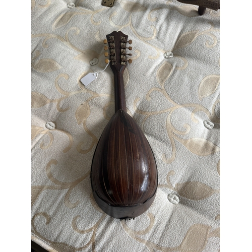 605 - Mandolin.  { 60cm L }.