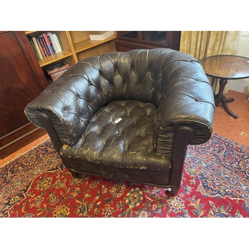 645 - Pair of 19th C hand dyed leather deep buttoned Chesterfield club chairs on tapered feet and castors.... 