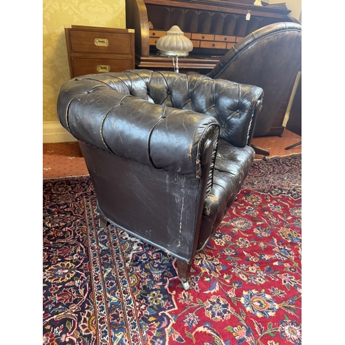 645 - Pair of 19th C hand dyed leather deep buttoned Chesterfield club chairs on tapered feet and castors.... 