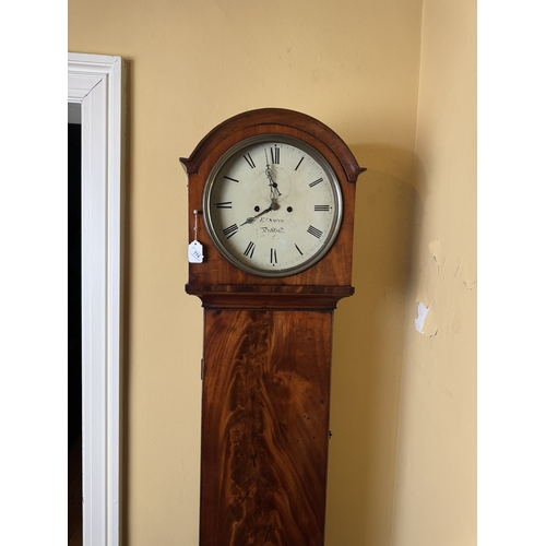 774 - 19th. C. mahogany long cased drum head clock with painted round dial, Edward Smith Dublin. { 203cm H... 