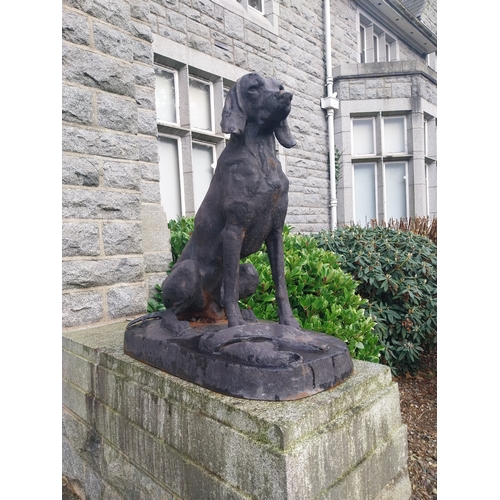 8 - Pair of good quality cast iron seated Dogs. {92 cm H x 44 cm W x 85 cm D}.