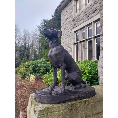 8 - Pair of good quality cast iron seated Dogs. {92 cm H x 44 cm W x 85 cm D}.