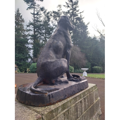 8 - Pair of good quality cast iron seated Dogs. {92 cm H x 44 cm W x 85 cm D}.