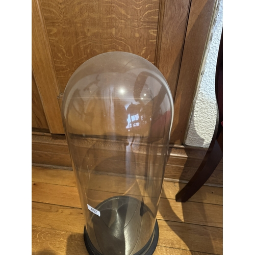 802 - 19th. C. glass dome mounted on original wooden base. { 65cm H X 23cm Dia }.