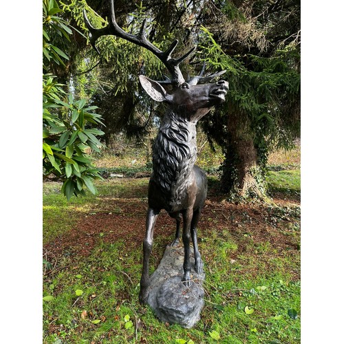 75A - Good quality majestic bronze stag on craggy rock {224cm H x 150cm W x 107cm D}