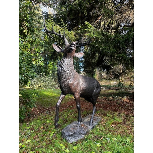 45A - Good quality majestic bronze stag on craggy rock {224cm H x 150cm W x 107cm D}