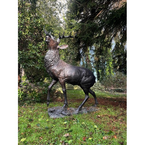 75A - Good quality majestic bronze stag on craggy rock {224cm H x 150cm W x 107cm D}