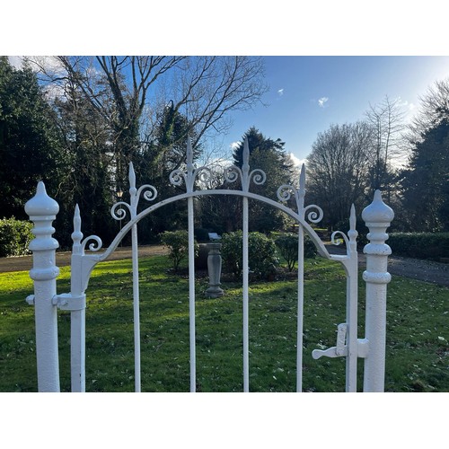 50A - 19th C. Tall wrought iron garden gate with matching gate posts {175cm H x 124cm W}