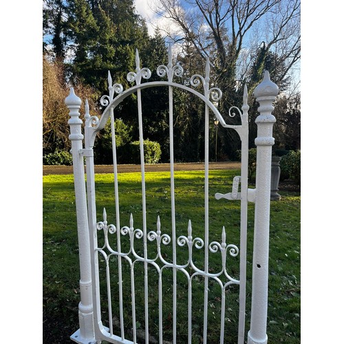 50B - 19th C. Tall wrought iron garden gate with matching gate posts {175cm H x 124cm W}